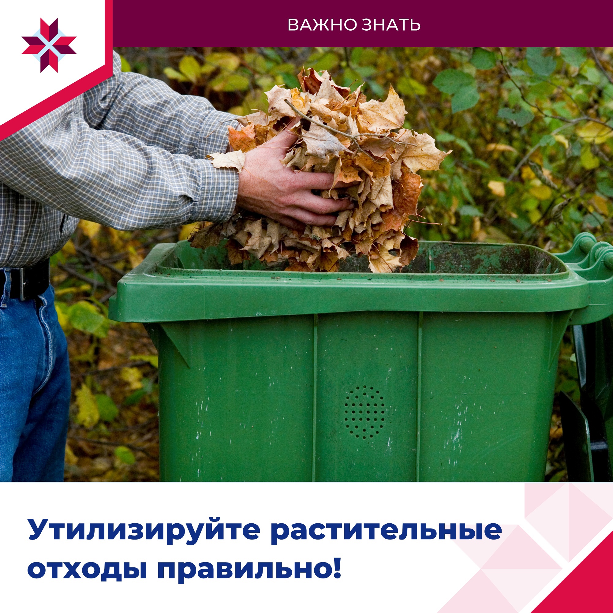 Рассказываем о правилах утилизации растительных отходов.